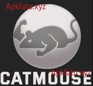 CatMouse